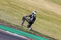 Evening Low_Mid Group Black Bikes